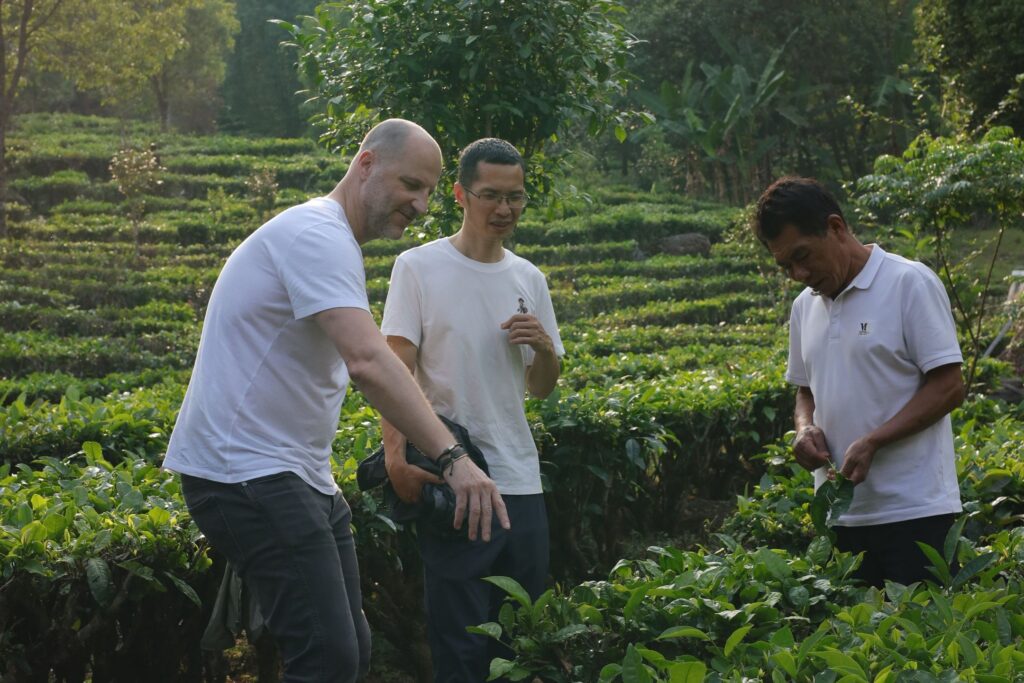 Markus founder AVANTCHA in the tea gardens in China 