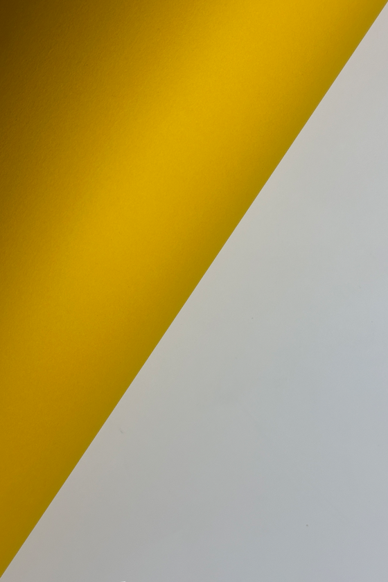 Yellow Paper Cardboard