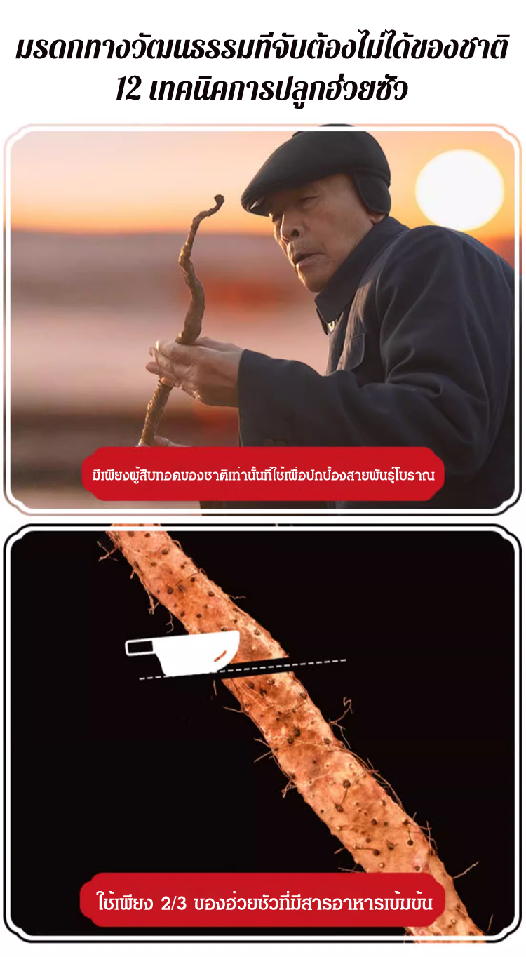 泰语_18.jpg