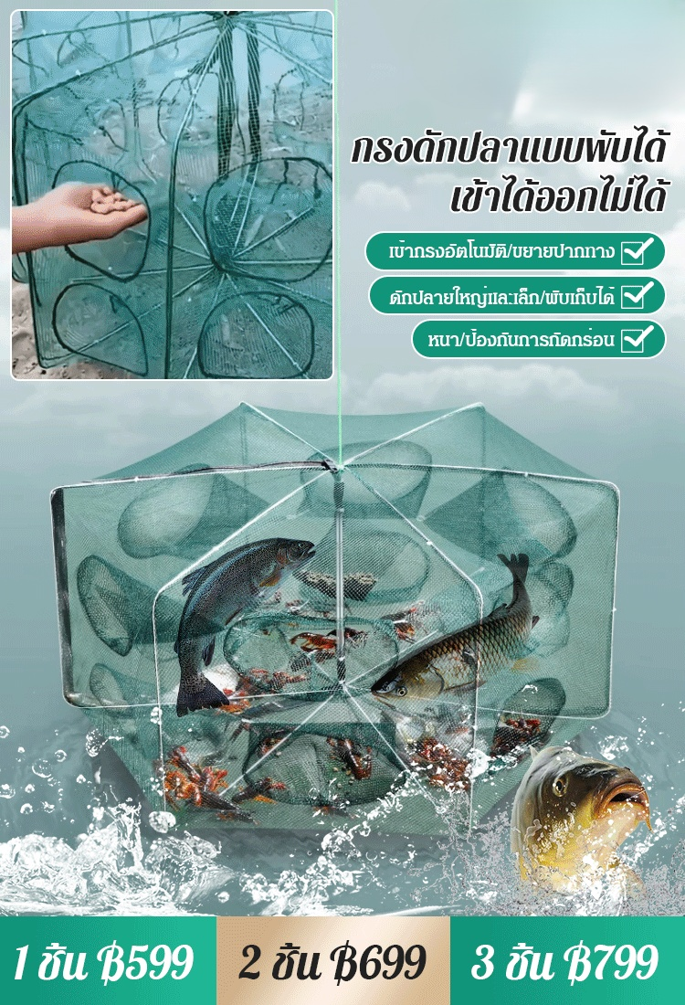 【เครื่องวิเศษจับปลา】 กรงดักปลาแบบพับได้อัตโนมัติเสริมความแข็งแรง