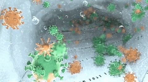 1722361234993053_12.gif