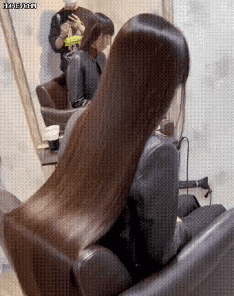 6.gif