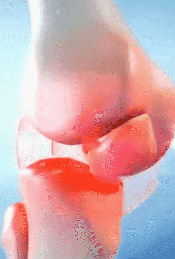 HFH-椰枣夏威夷抱抱果250g_11-1.gif