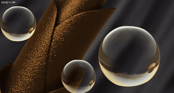 13.gif
