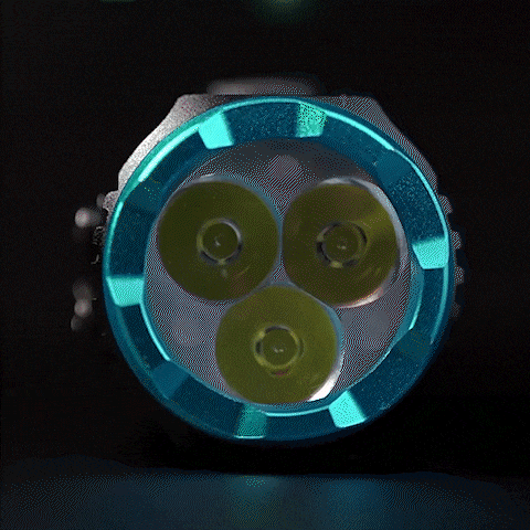 12.gif