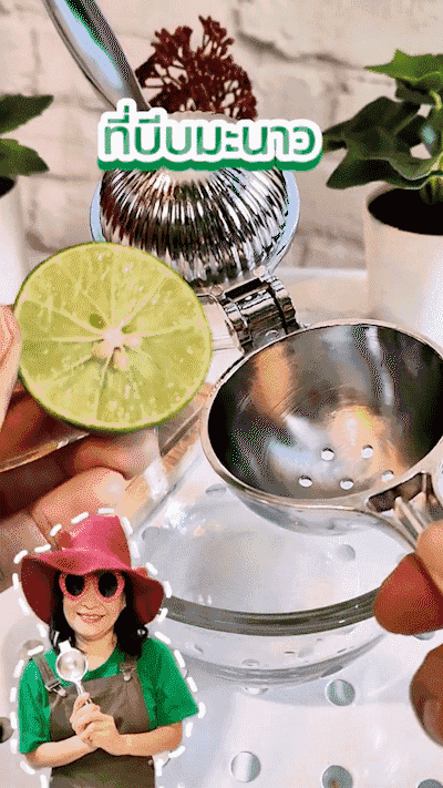 HFH-高品质不锈钢榨汁器_02-1.gif