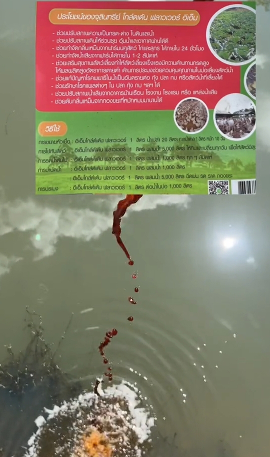 333.png
