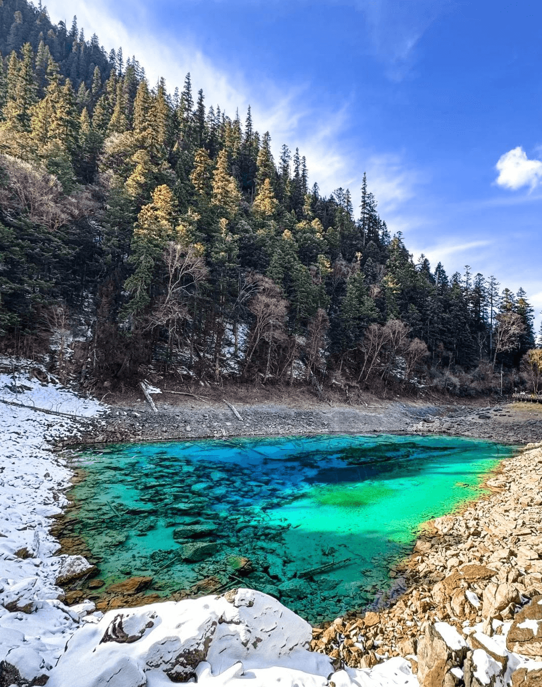 九寨溝・五彩池（ごさいち）──神秘的に輝く、九寨溝で最も多彩な色彩を持つ池群