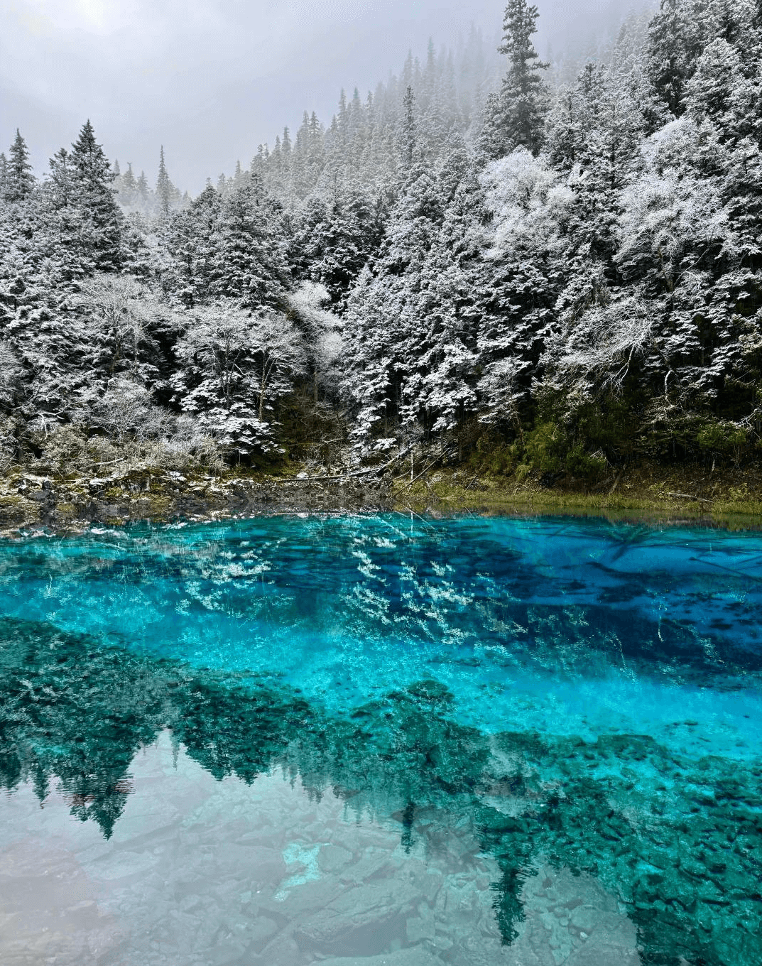 九寨溝・五彩池（ごさいち）──神秘的に輝く、九寨溝で最も多彩な色彩を持つ池群