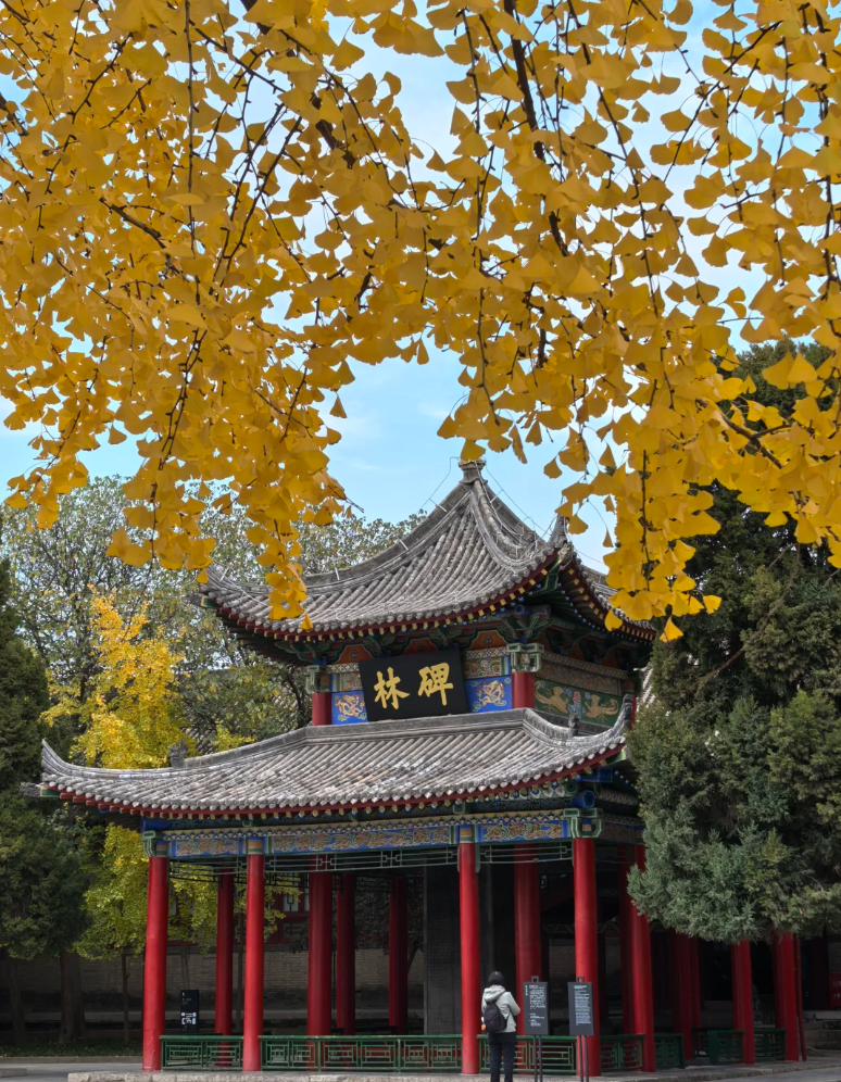 西安碑林博物館 ── 石に刻まれた千年の記憶、書法藝術の殿堂へようこそ