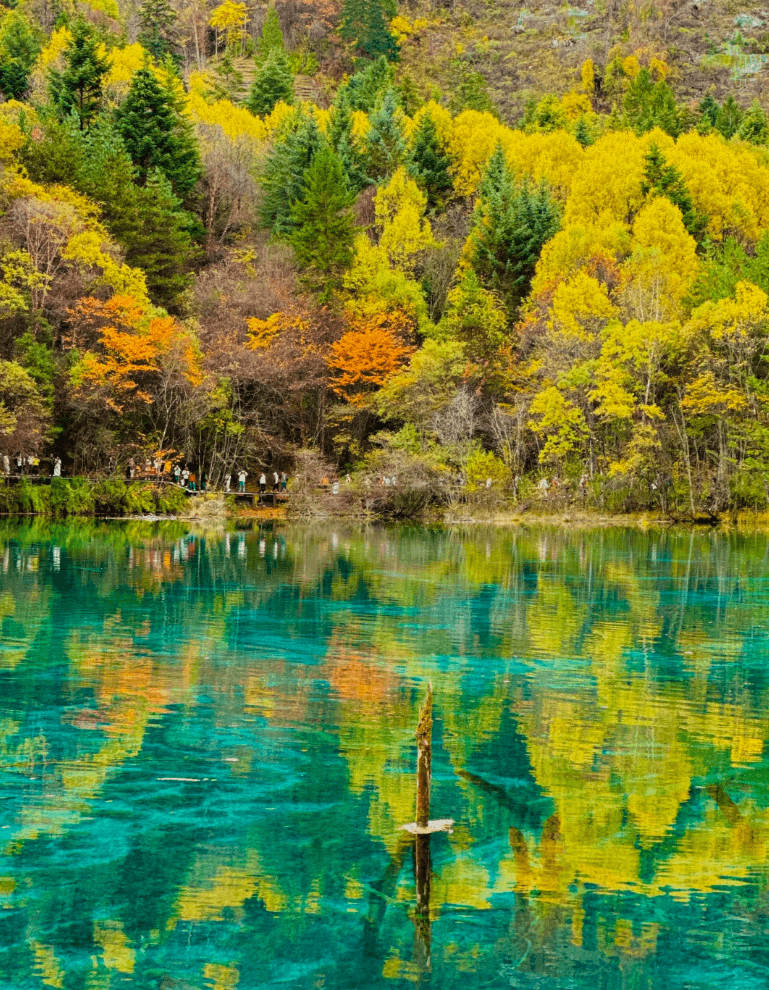 九寨溝・五花海（ウーハーアイ） ──孔雀が羽を広げたような、九寨溝で最も色鮮やかな湖