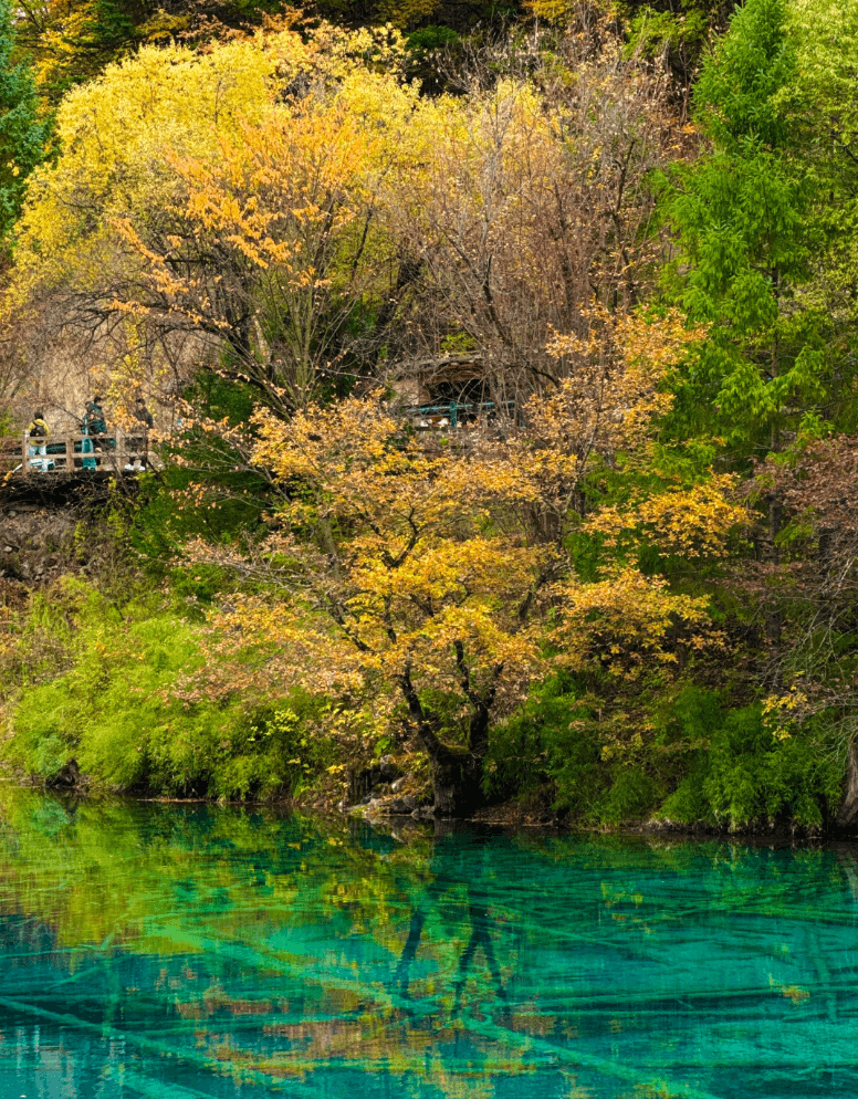 九寨溝・五花海（ウーハーアイ） ──孔雀が羽を広げたような、九寨溝で最も色鮮やかな湖