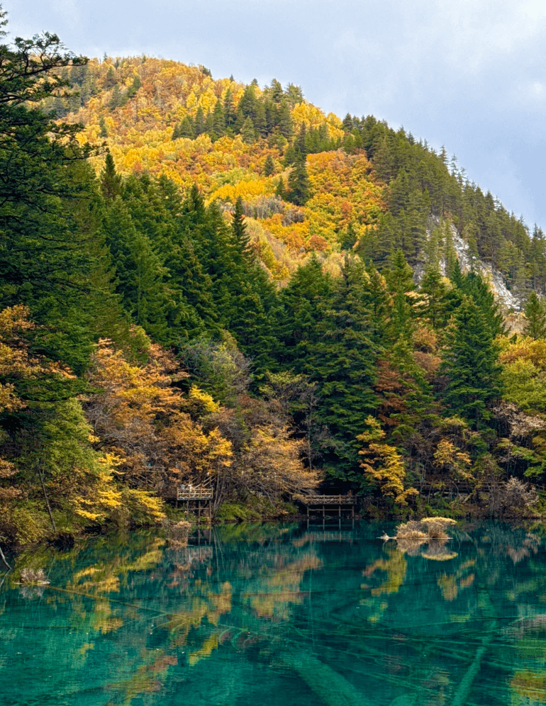 九寨溝・五花海（ウーハーアイ） ──孔雀が羽を広げたような、九寨溝で最も色鮮やかな湖