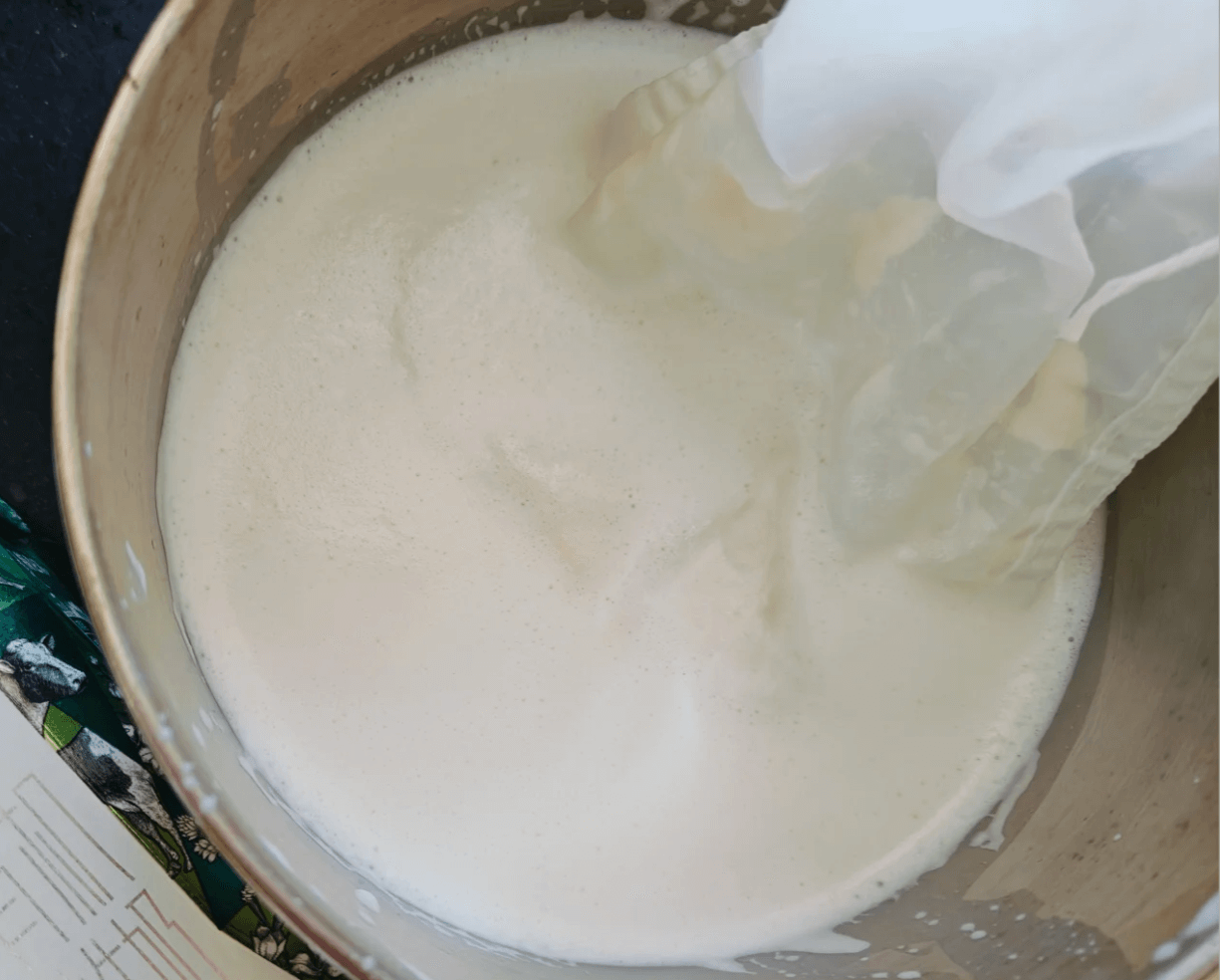 杏仁豆腐 ── 北京の食卓で愛される、なめらかで上品なアーモンドプリン