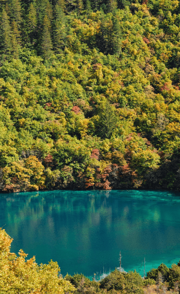 九寨溝・鏡海（ミラー湖） ──空と山を映し出す、九寨溝随一の絶景鏡湖