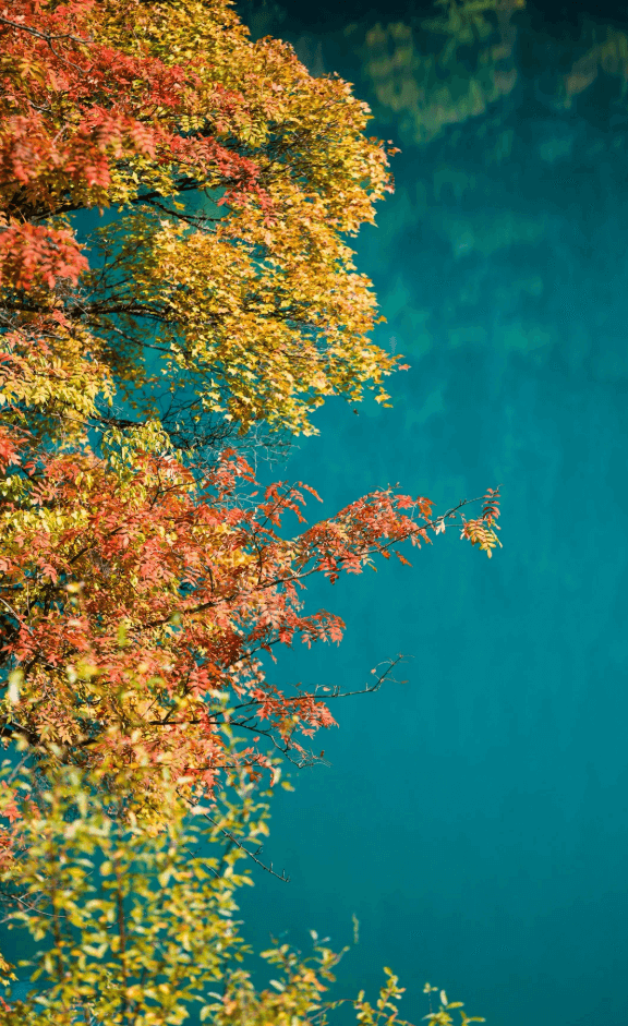 九寨溝・鏡海（ミラー湖） ──空と山を映し出す、九寨溝随一の絶景鏡湖