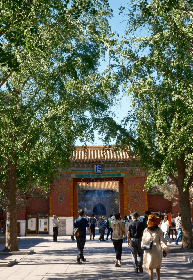 北京・雍和宮で味わう特別な参拝体験 ── チベット仏教の聖地で感じる、清らかな祈りの時間 
