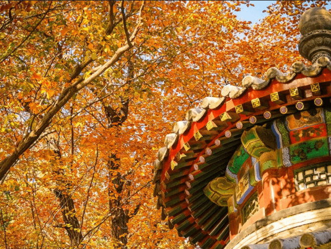 北京の中軸線に沿って旅をする