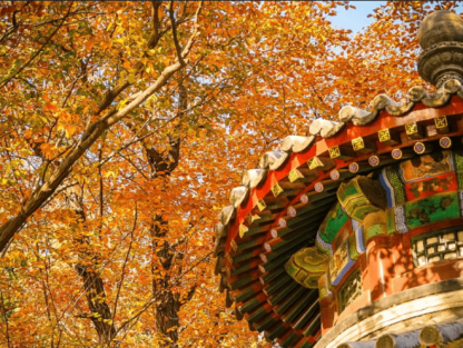 北京の中軸線に沿って旅をする