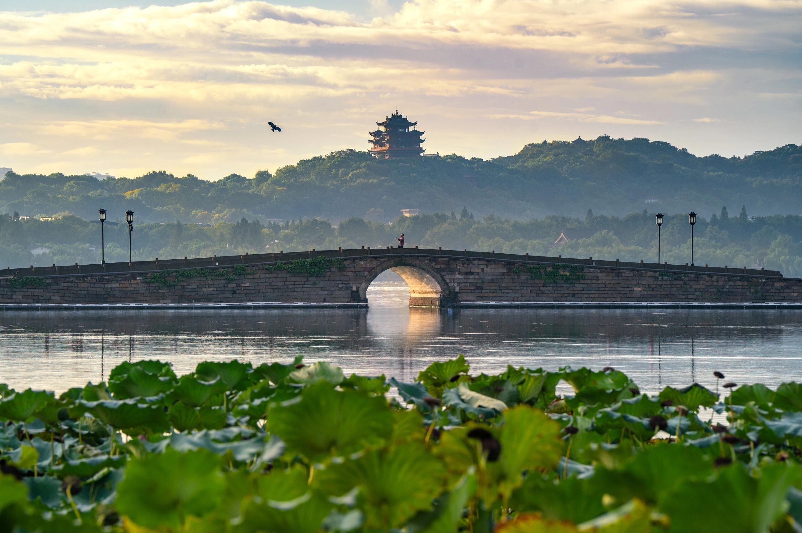 {"default":"上海・杭州・蘇州！厳選観光コース（5日間）"}
