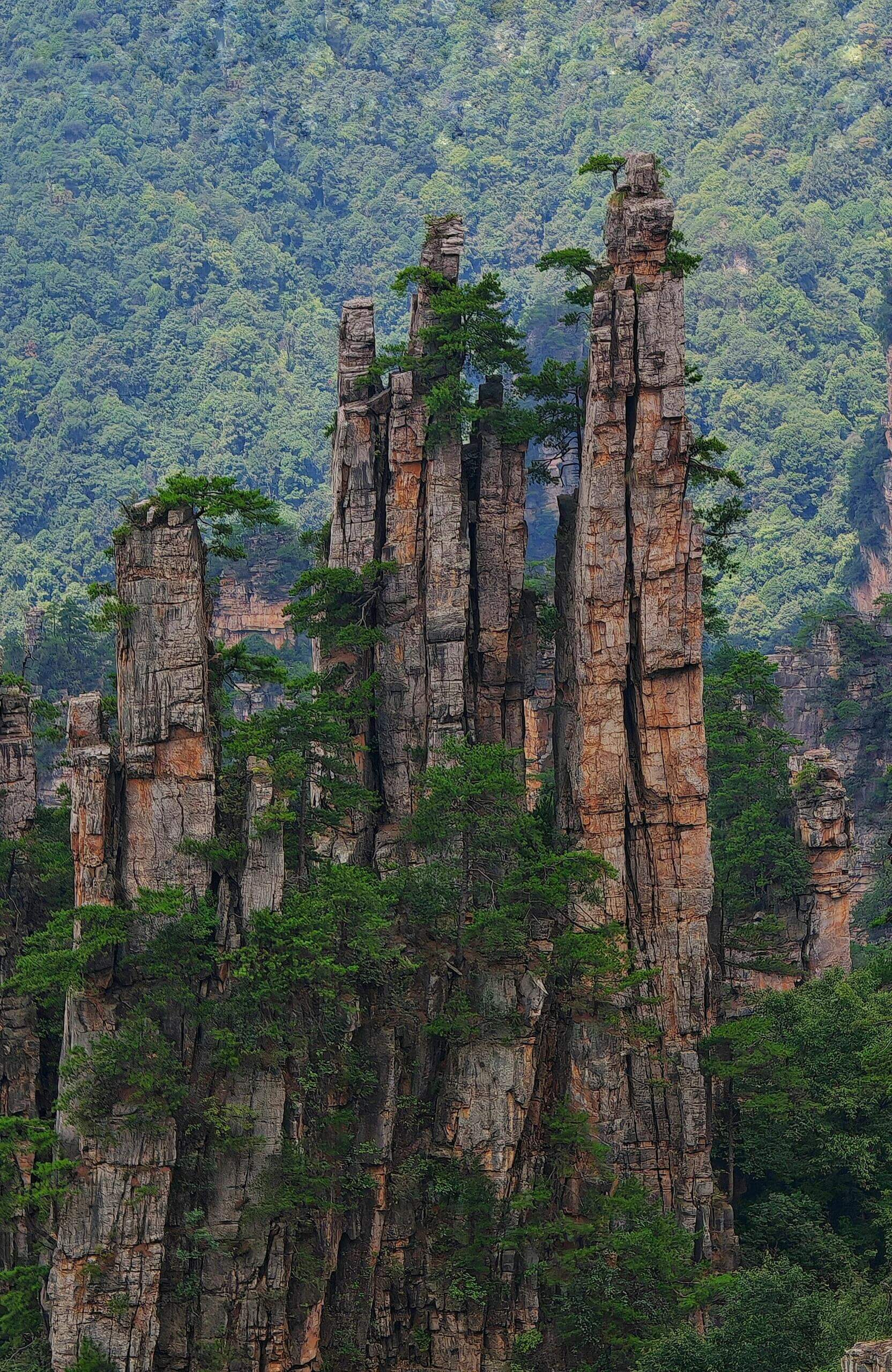 クラシック張家界 1日/2日観光ツアー
