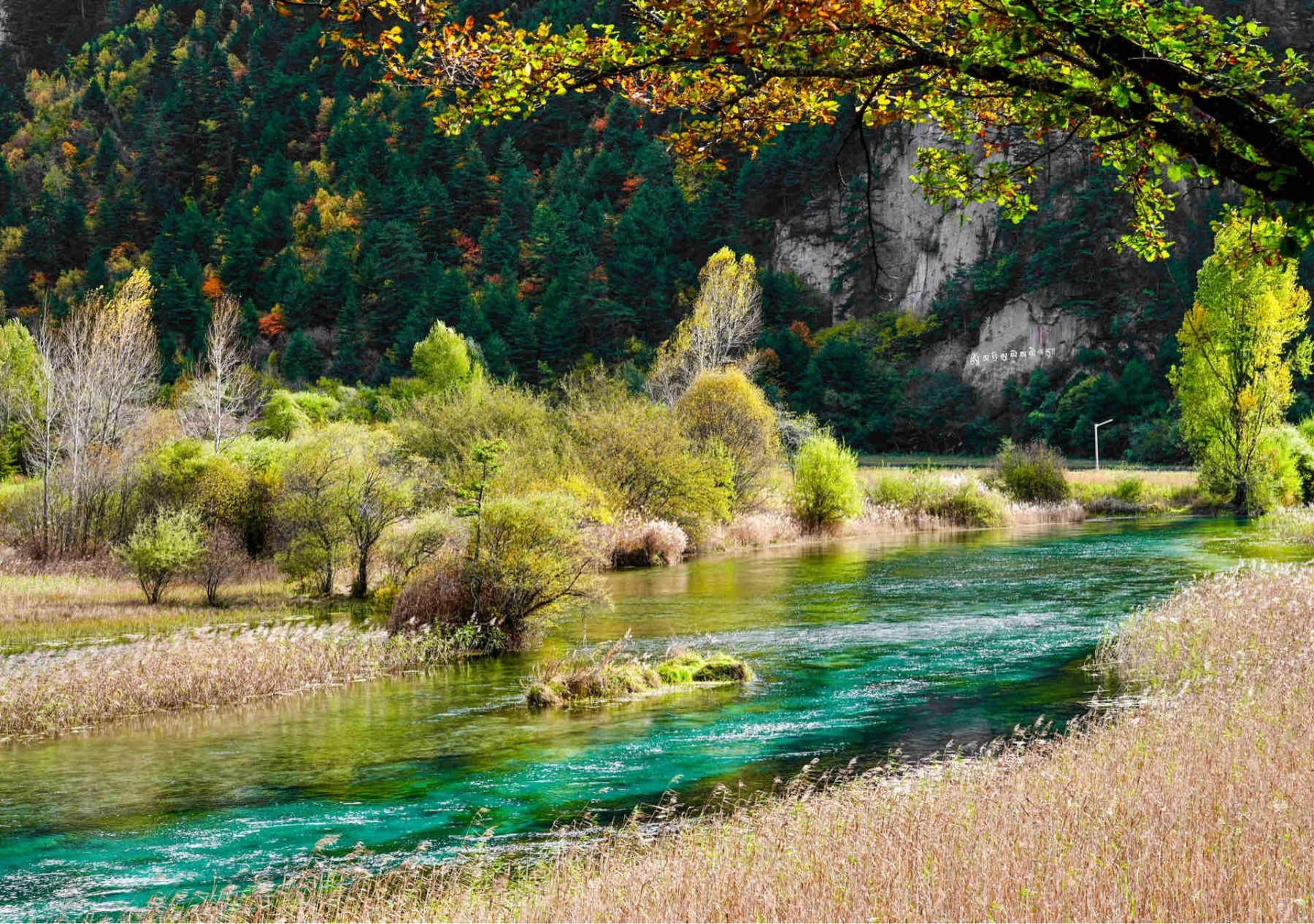クラシック九寨溝 1日/2日観光ツアー