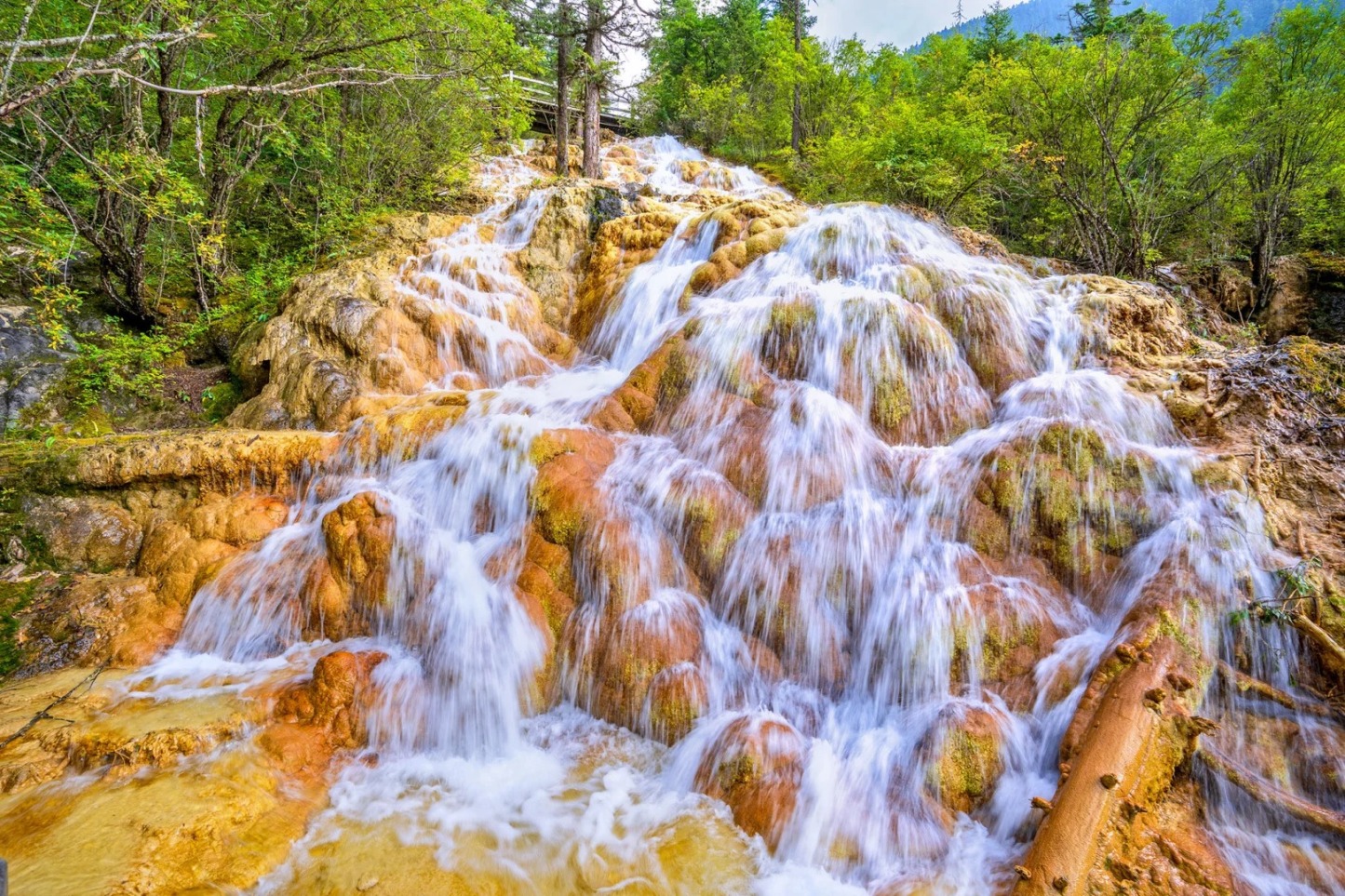 クラシック九寨溝 1日/2日観光ツアー