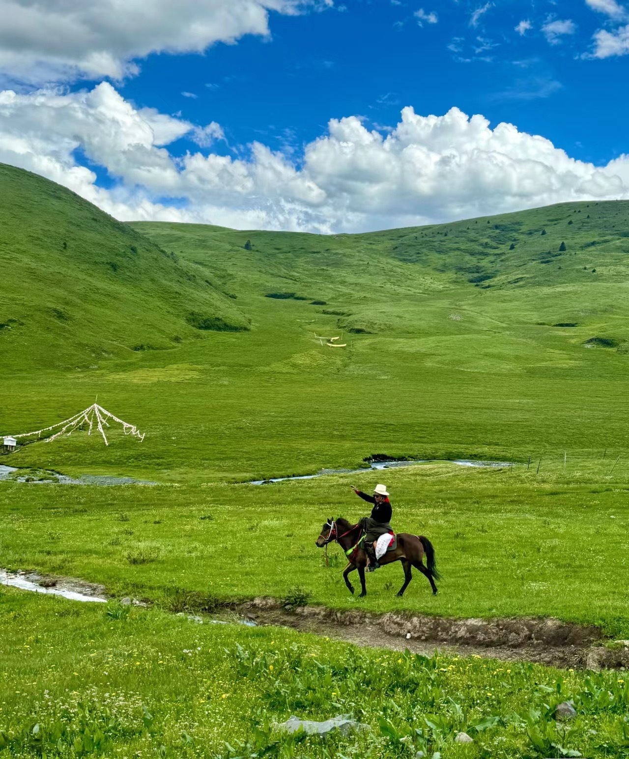 [6日間]四川西部一周！絶景観光ツア・四川料理,パンダ,四川西部,人気スポット,おすすめ スポット,中国旅行パンダの旅,四川旅行