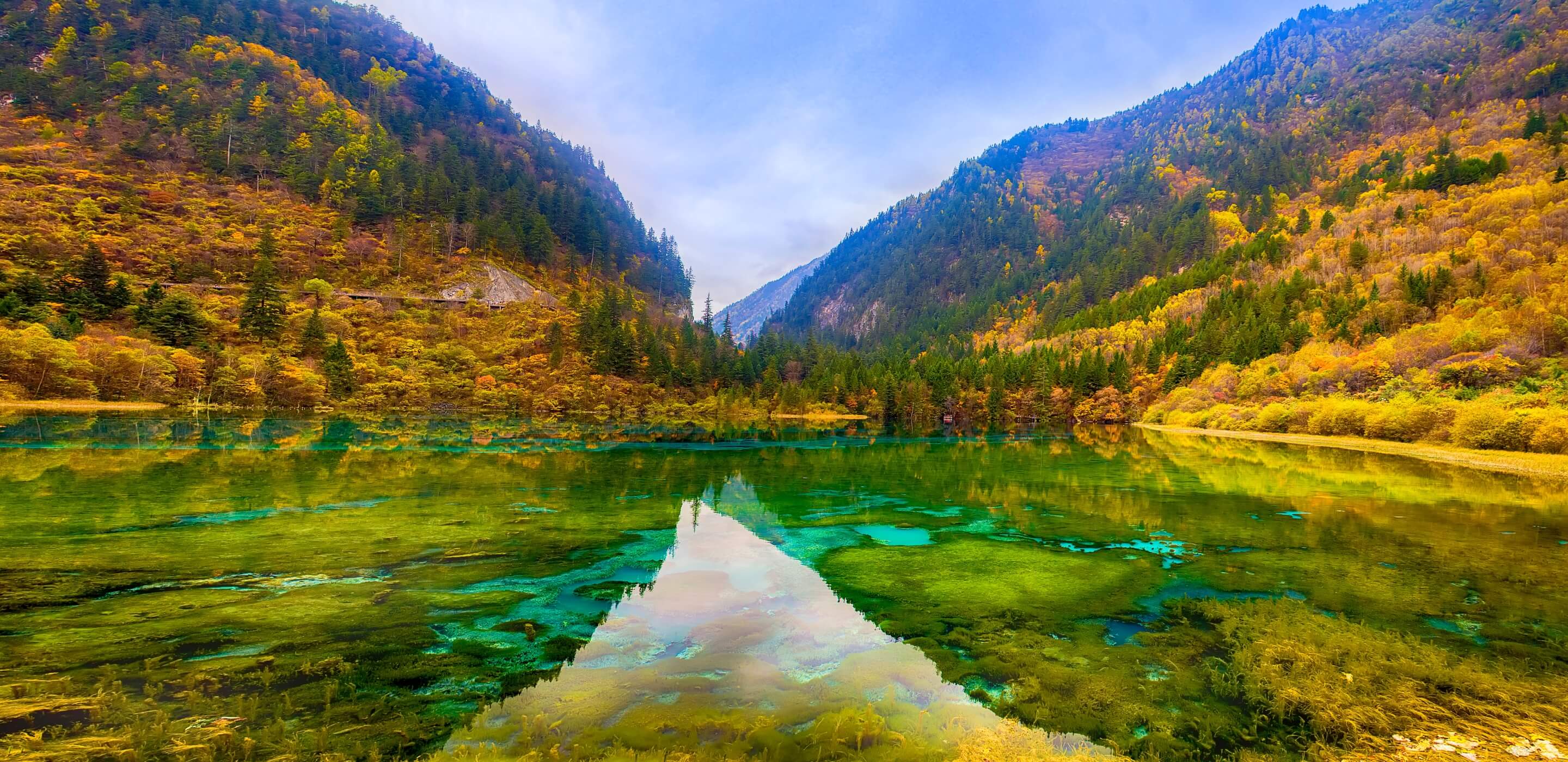 {"default":"九寨溝"}
