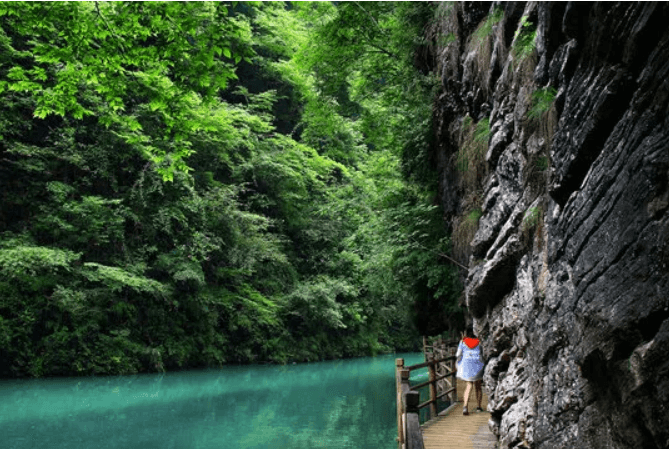 張家界大峡谷：万丈の絶壁の上で、清らかな碧水と出会う