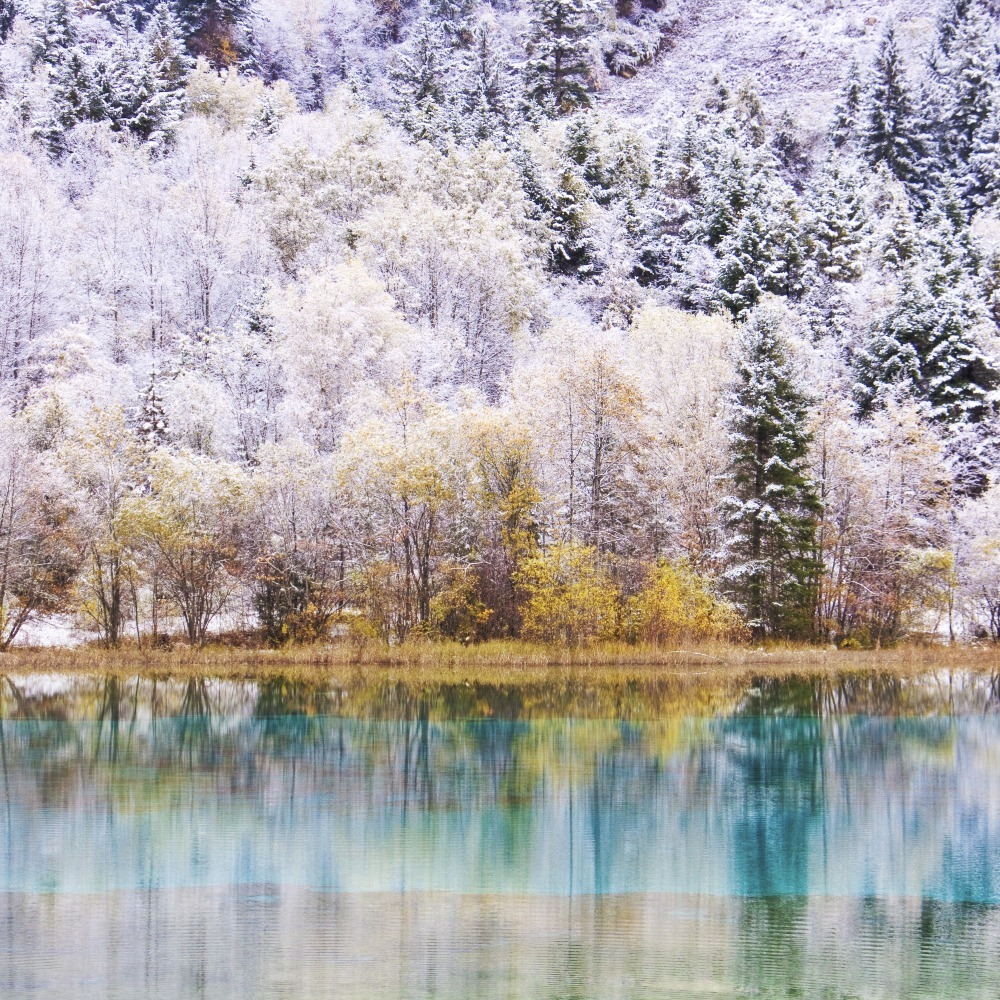 [7日間]九寨溝一周＆パンダ基地！自然豊かな秘境旅・四川料理,パンダ,四川西部,人気スポット,おすすめ スポット,中国旅行パンダの旅,四川旅行