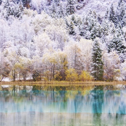 [7日間]九寨溝一周＆パンダ基地！自然豊かな秘境旅・四川料理,パンダ,四川西部,人気スポット,おすすめ スポット,中国旅行パンダの旅,四川旅行