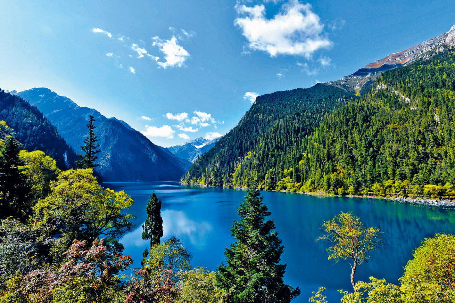 [6日間]九寨溝＆パンダ基地！文化と自然の二重体験・四川料理,パンダ,四川西部,人気スポット,おすすめ スポット,中国旅行パンダの旅,四川旅行