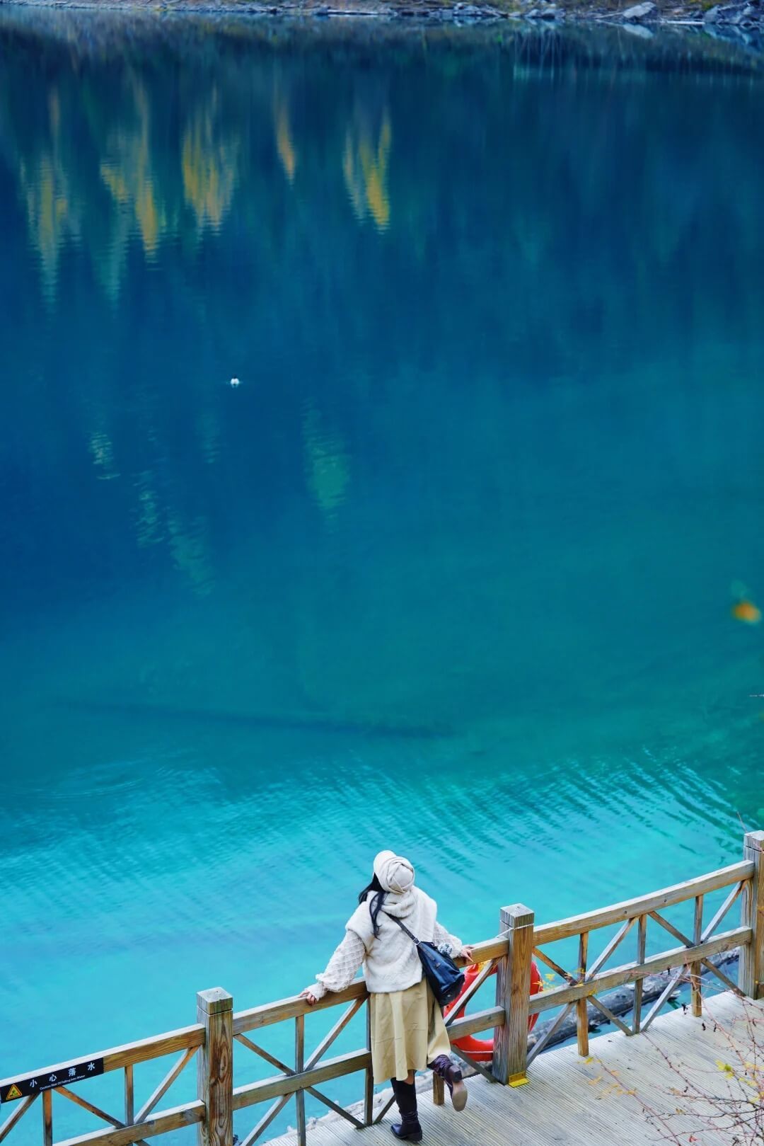 パンダと一緒に九寨溝を巡る旅