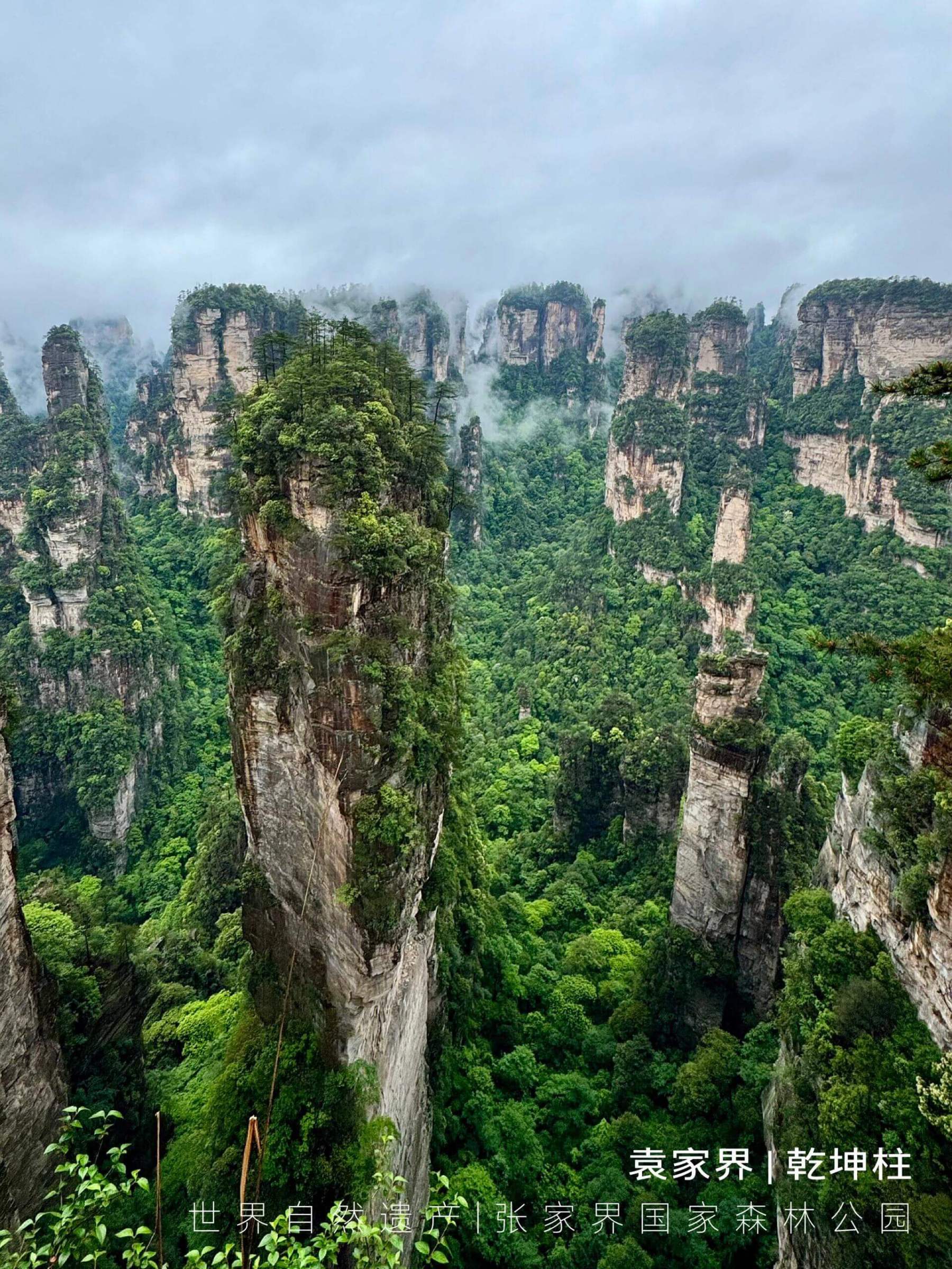 クラシック張家界 1日/2日観光ツアー