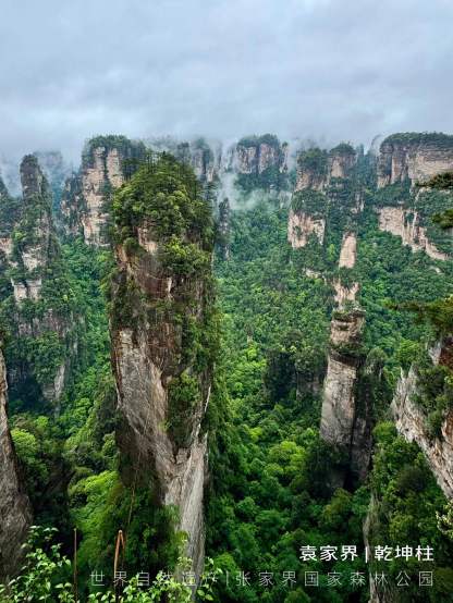 クラシック張家界 1日/2日観光ツアー