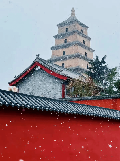 西安・唐文化体験デ ー 1日ツアー