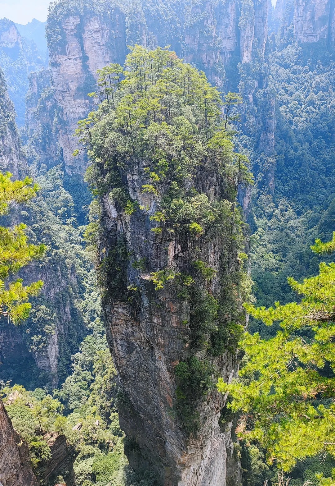 映画『アバター』のロケ地巡りツアー～張家界国家森林公園