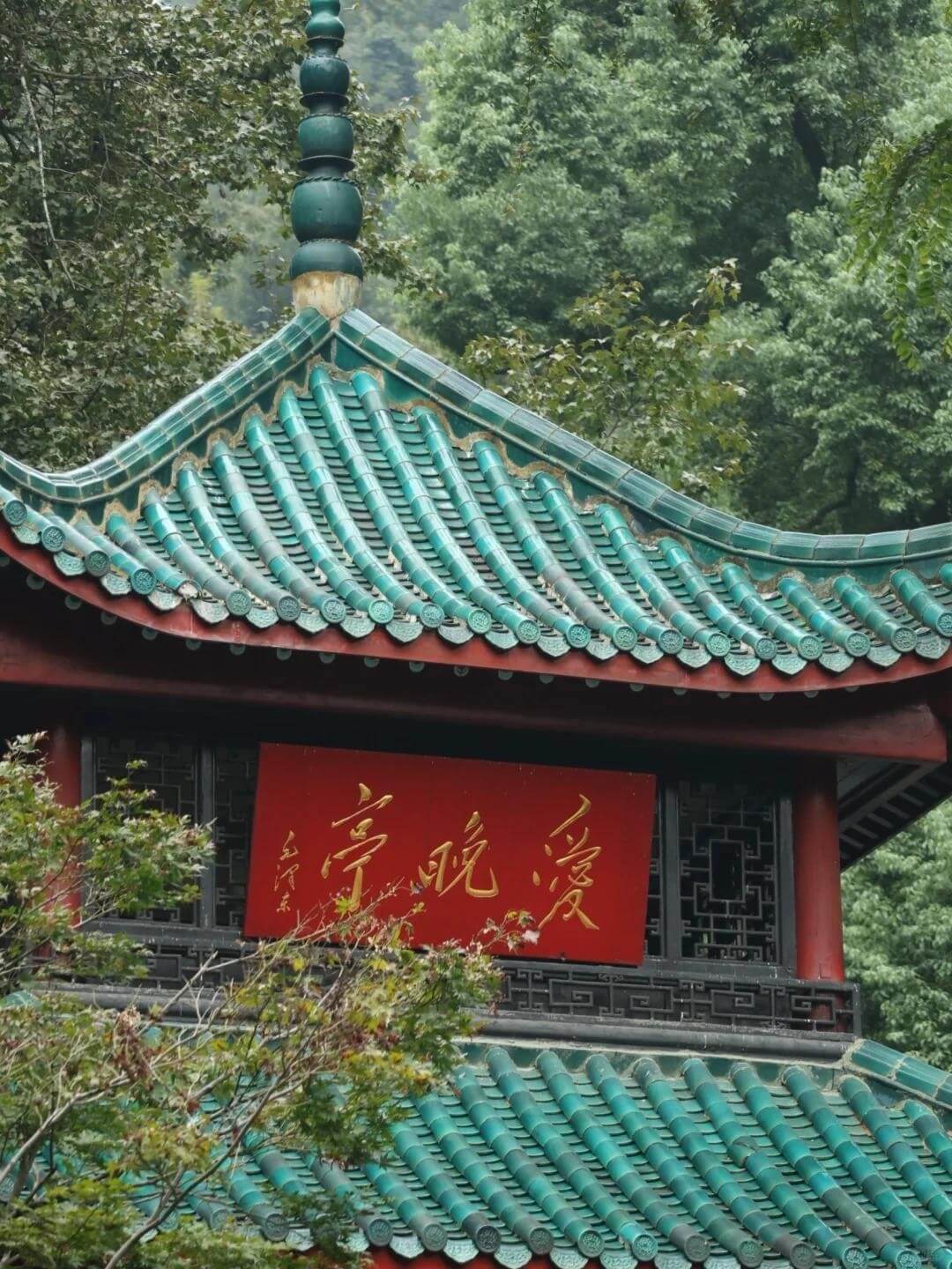 長沙＆張家界 · 湖南西部に出会う