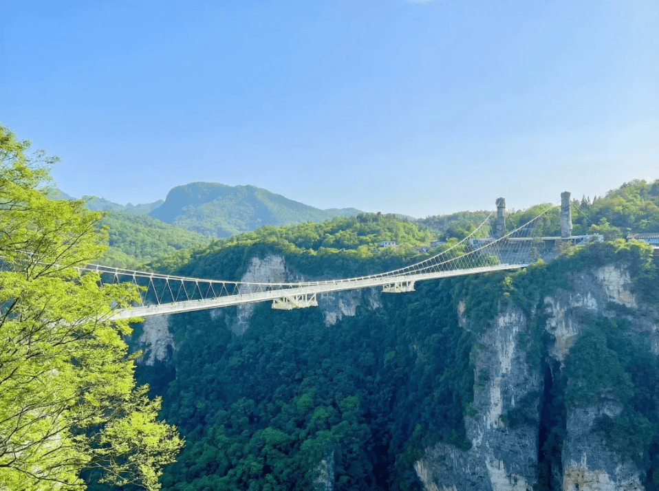 張家界大峡谷：万丈の絶壁の上で、清らかな碧水と出会う