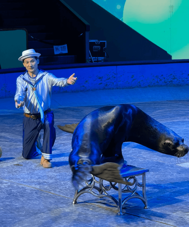 上海馬戲城：『ERA時空之旅』