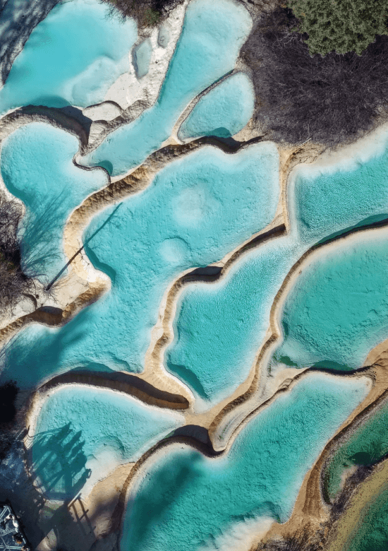 パンダと一緒に九寨溝を巡る旅