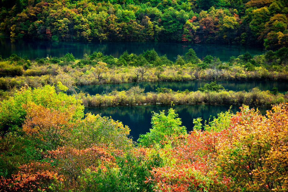 [7日間]九寨溝一周＆パンダ基地！自然豊かな秘境旅・四川料理,パンダ,四川西部,人気スポット,おすすめ スポット,中国旅行パンダの旅,四川旅行