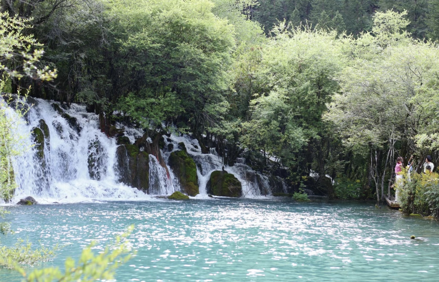 [7日間]九寨溝一周＆パンダ基地！自然豊かな秘境旅