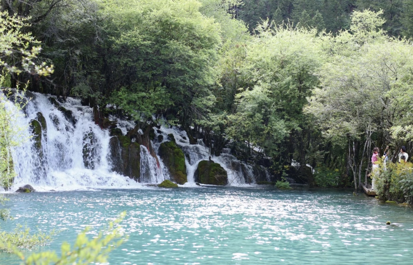 [7日間]九寨溝一周＆パンダ基地！自然豊かな秘境旅
