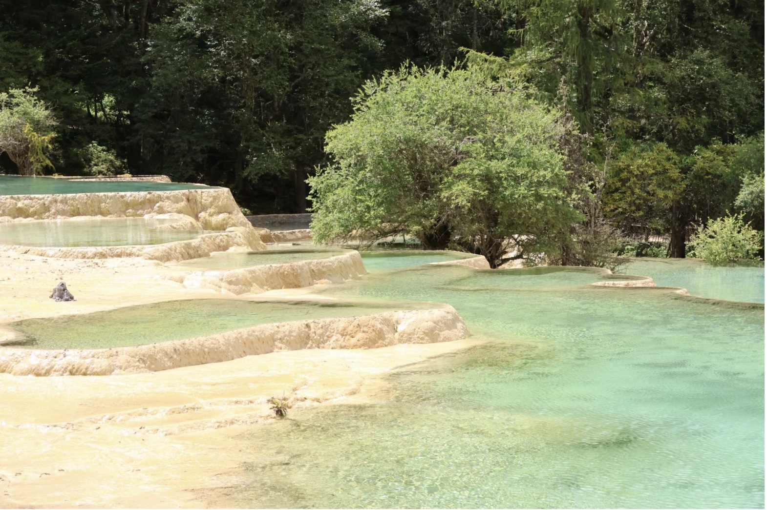 [7日間]九寨溝一周＆パンダ基地！自然豊かな秘境旅