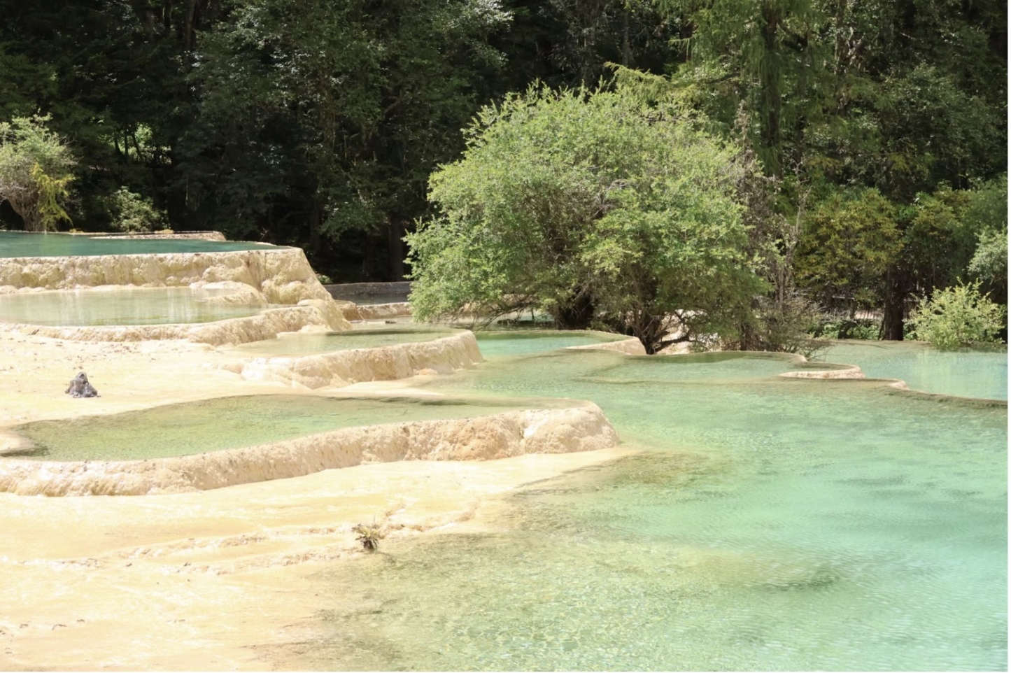 [7日間]九寨溝一周＆パンダ基地！自然豊かな秘境旅