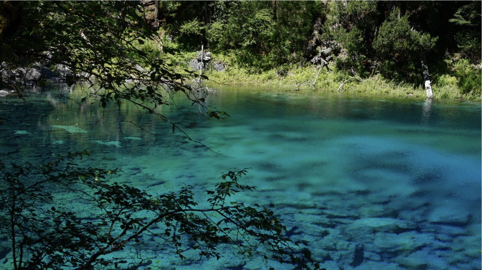 [7日間]九寨溝一周＆パンダ基地！自然豊かな秘境旅