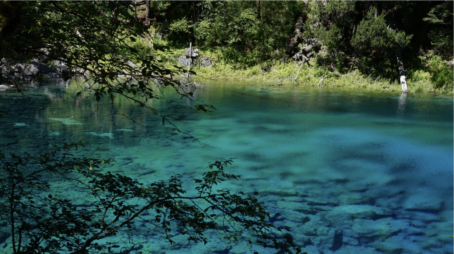 [7日間]九寨溝一周＆パンダ基地！自然豊かな秘境旅