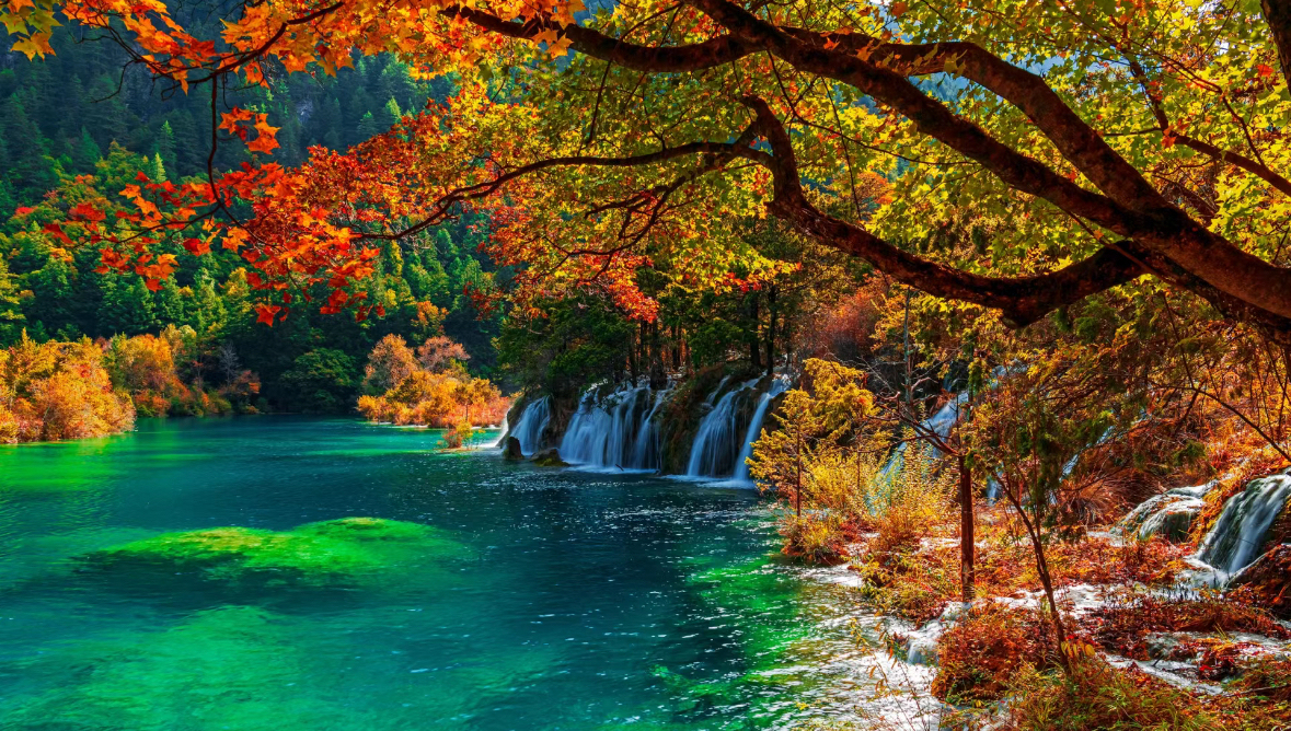 [7日間]九寨溝一周＆パンダ基地！自然豊かな秘境旅